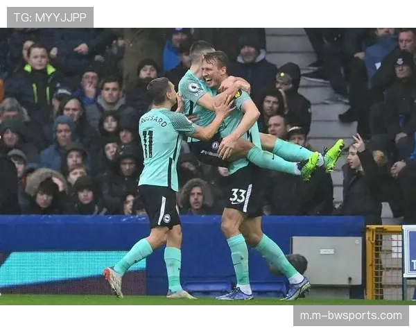 布莱顿三中卫体系革新中游球队打法 场均控球率达58%